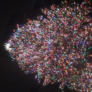 Meet your Posher, Martina